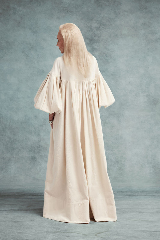 Fig tree at the end of summer