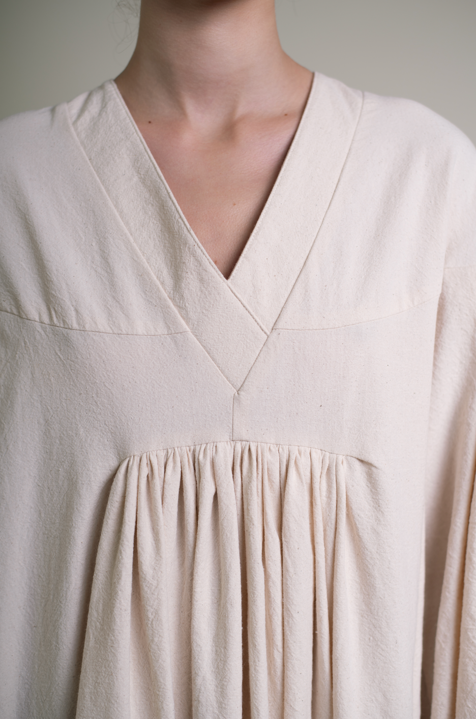 Fig tree at the end of summer