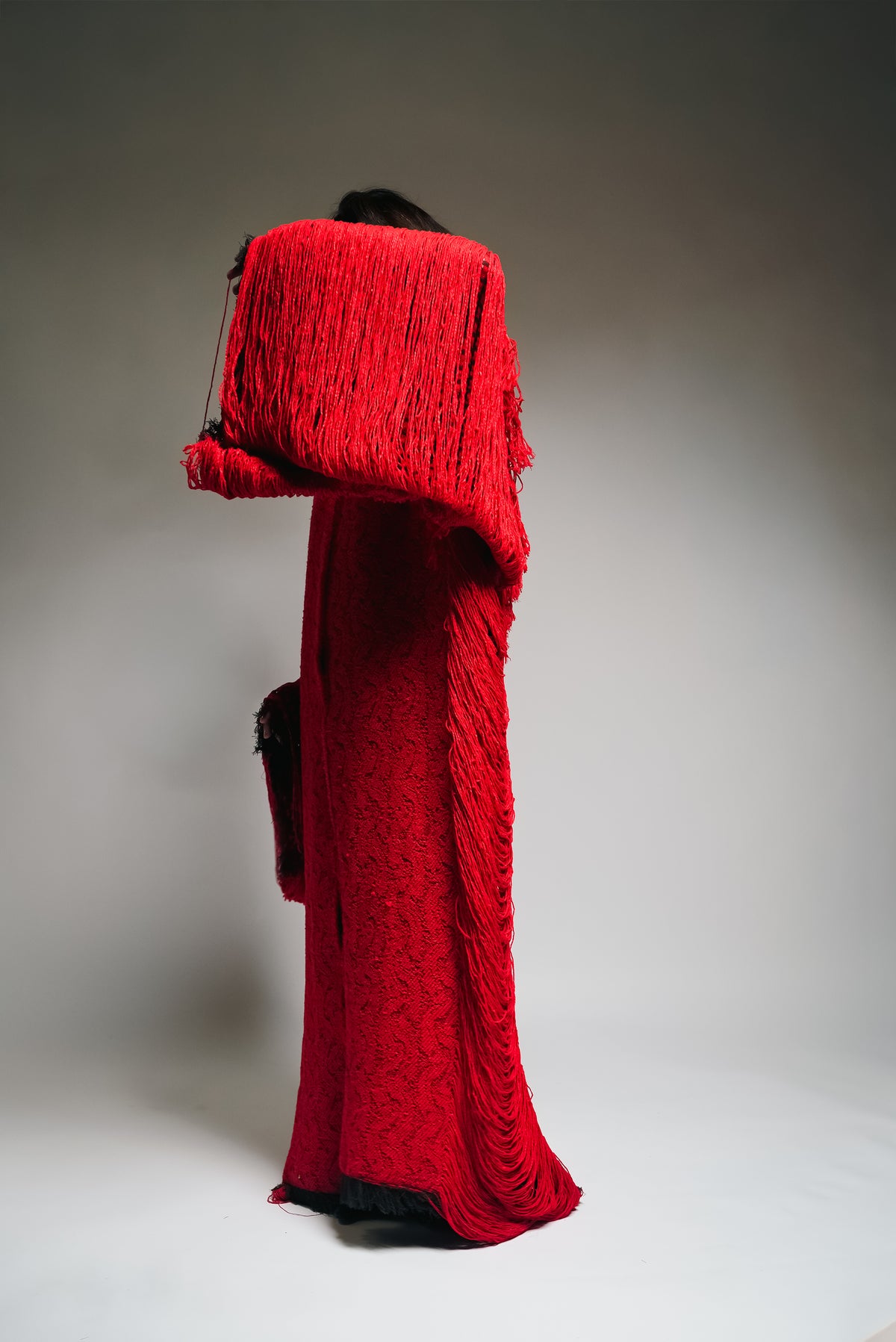 Autobiography of Red
