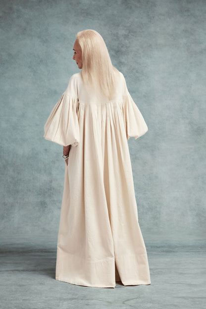 Fig tree at the end of summer