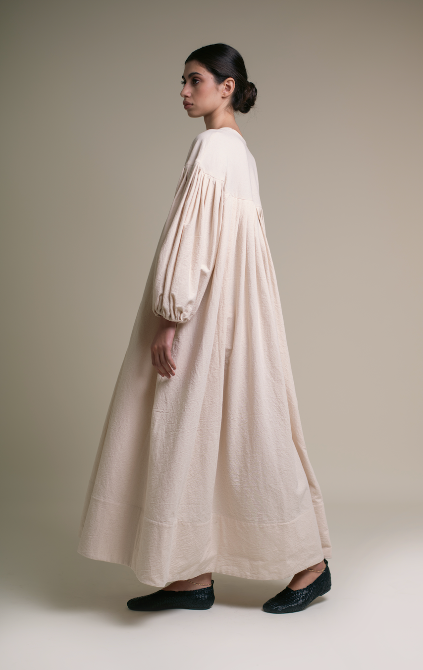 Fig tree at the end of summer