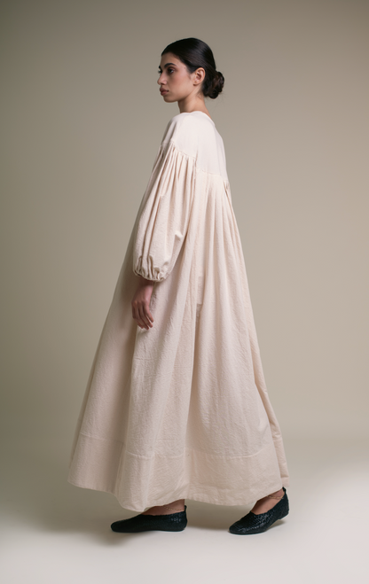 Fig tree at the end of summer