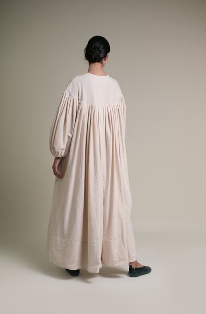 Fig tree at the end of summer