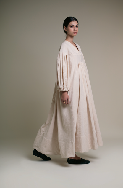 Fig tree at the end of summer