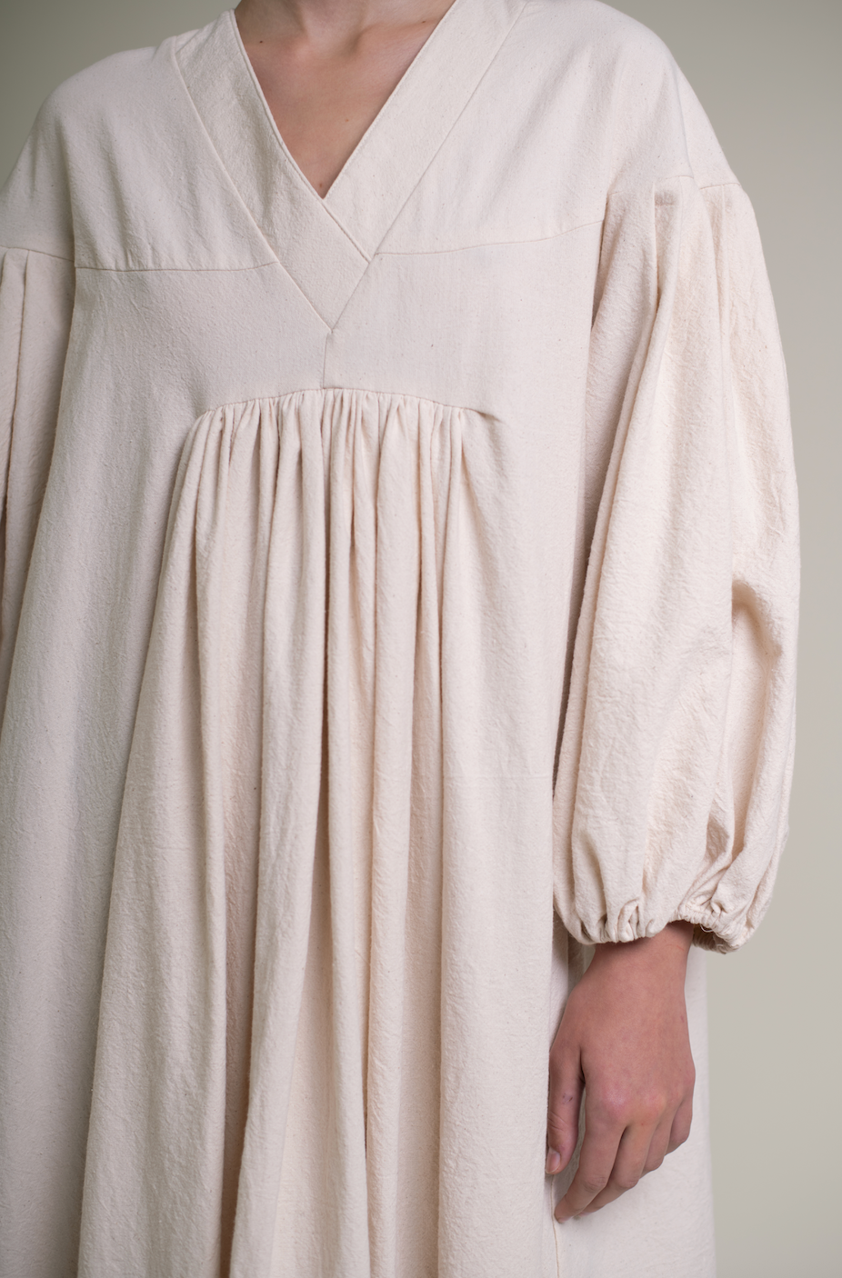 Fig tree at the end of summer