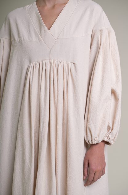 Fig tree at the end of summer