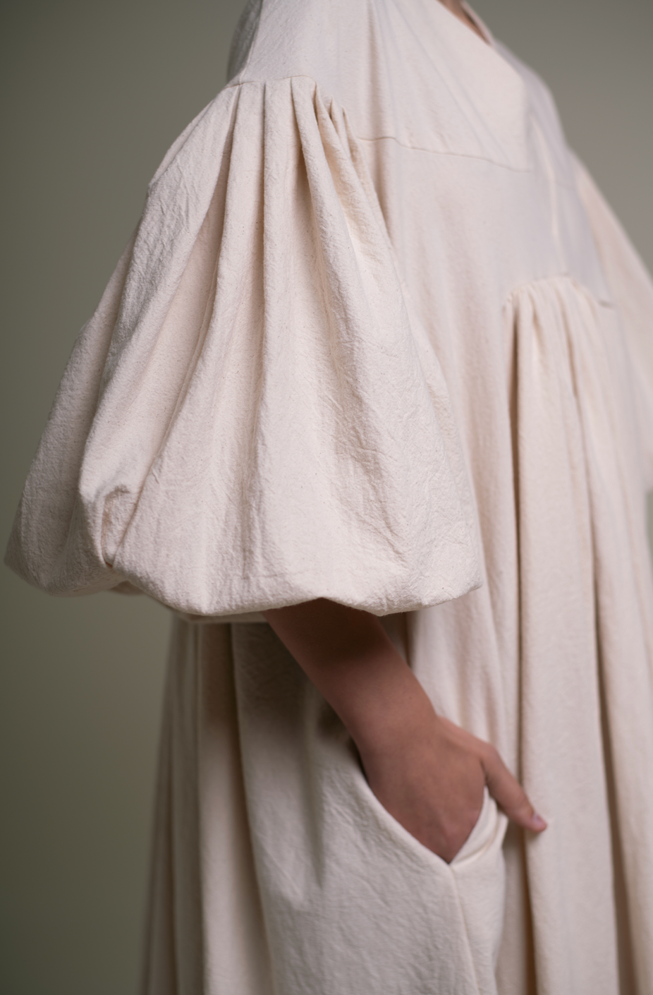 Fig tree at the end of summer