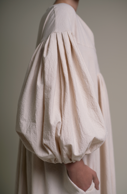 Fig tree at the end of summer