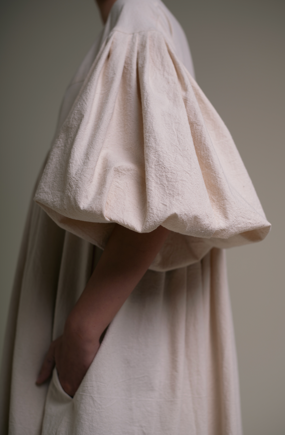 Fig tree at the end of summer