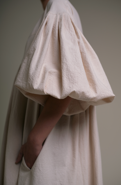 Fig tree at the end of summer