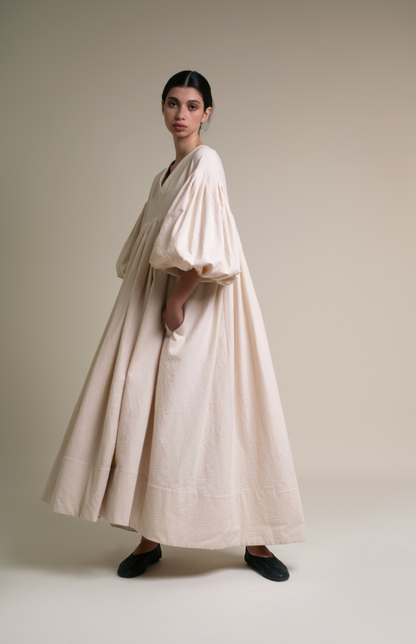 Fig tree at the end of summer