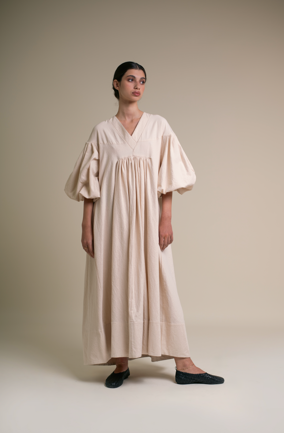 Fig tree at the end of summer