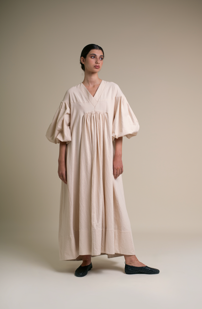 Fig tree at the end of summer