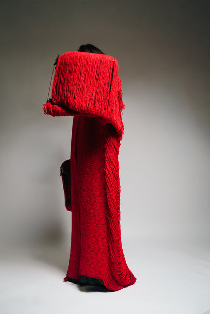 Autobiography of Red