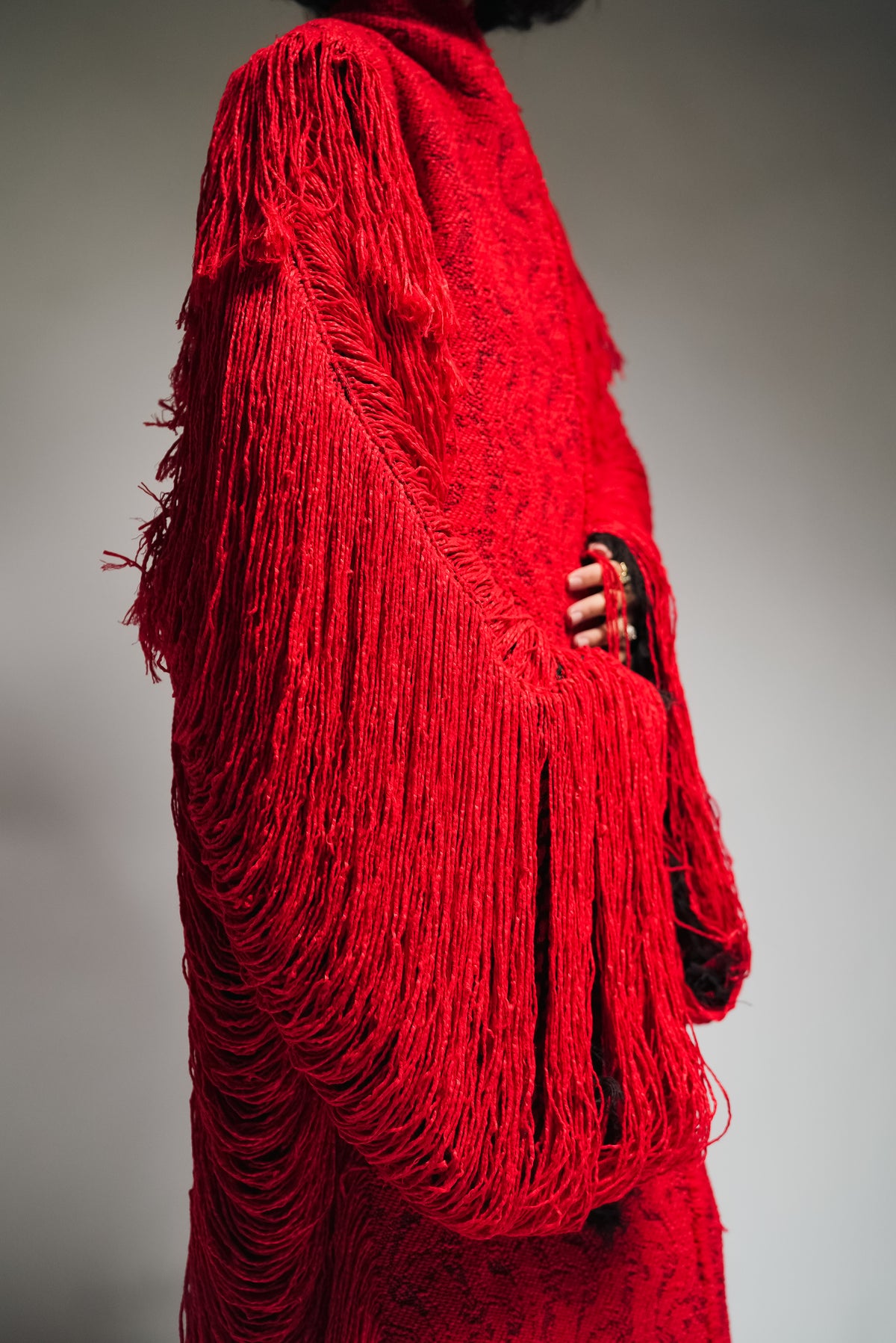 Autobiography of Red