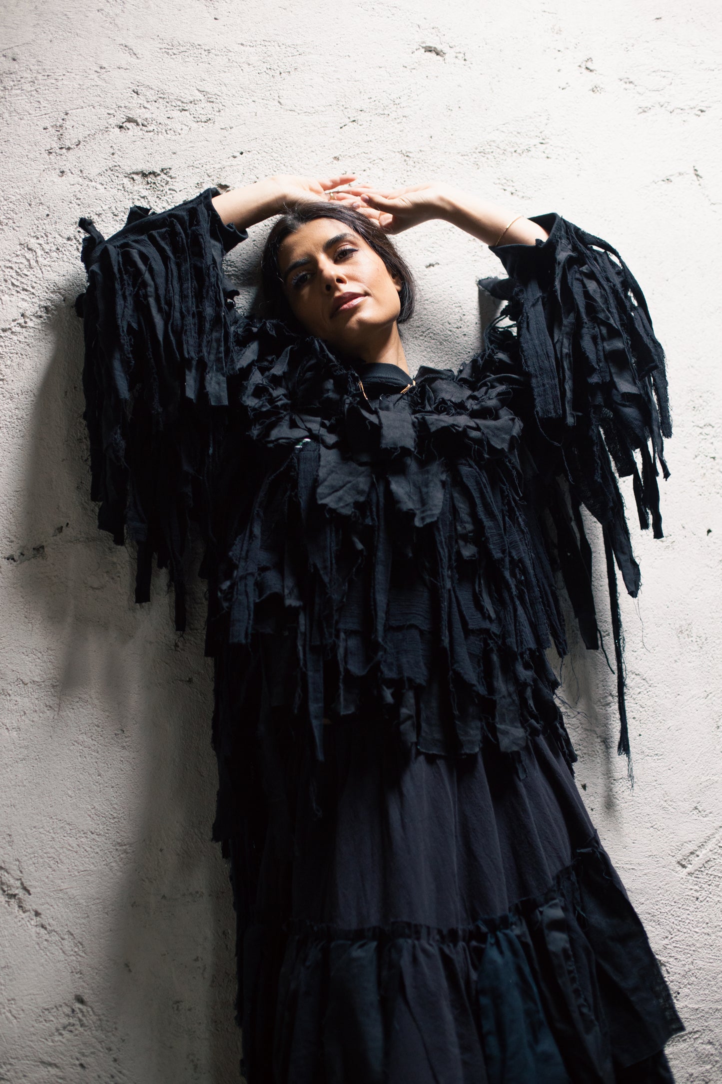 The Raven